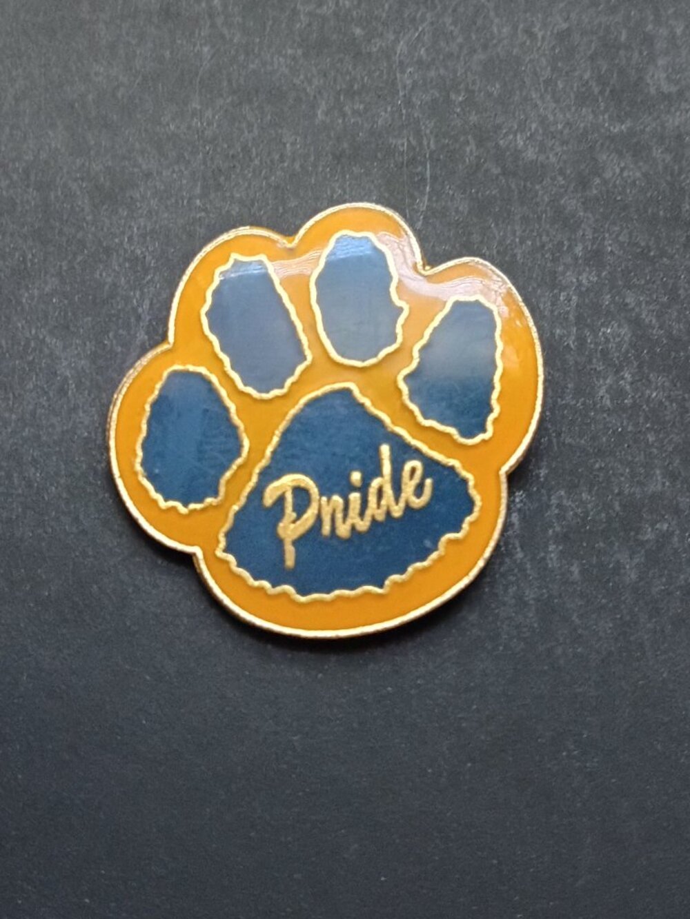 Vintage Paw Pride Pin Blue and Gold